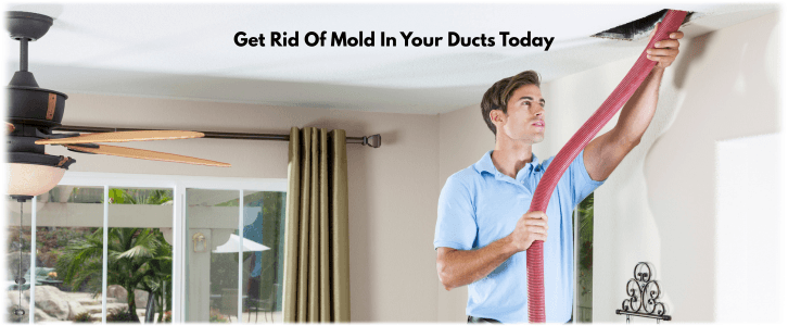 Air Duct Mold Removal in Round Lake IL
