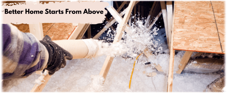 Attic Cleaning Round Lake IL