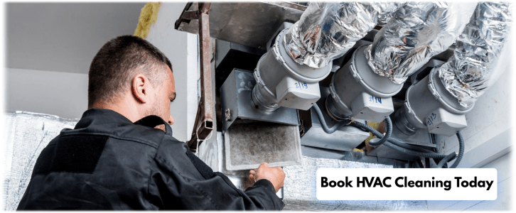 HVAC Mold Removal Round Lake IL